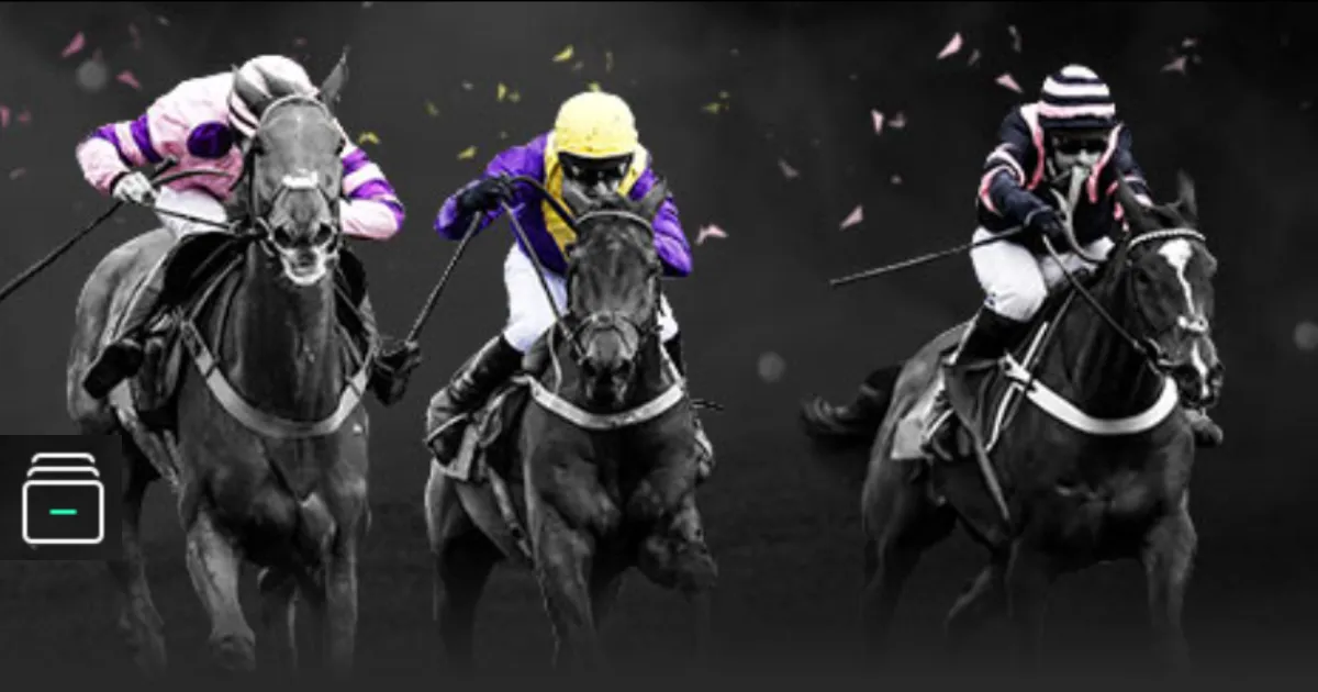 杭州六小龙,九成盈利投,入创新,世界杯小组赛,2026世界杯,球队分析,赛程详情,比赛预测